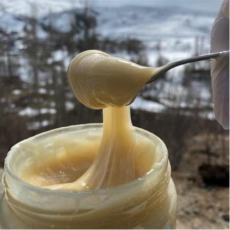 DOĞAL BEYAZ KREMA BAL 1KG